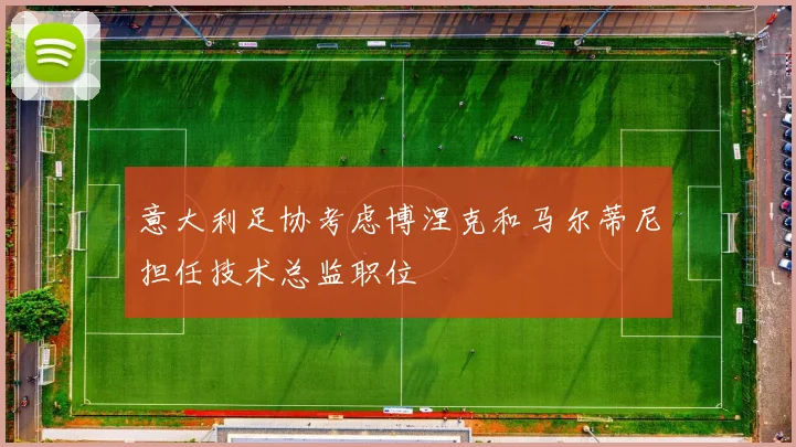 意大利足协考虑博涅克和马尔蒂尼担任技术总监职位