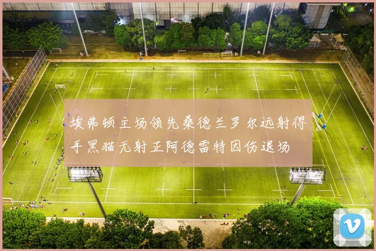 埃弗顿主场领先桑德兰罗尔远射得手黑猫无射正阿德雷特因伤退场